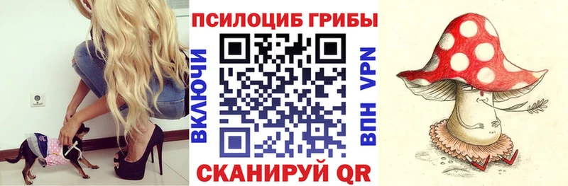 OMG как зайти  купить закладку  Воронеж  Галлюциногенные грибы мицелий 